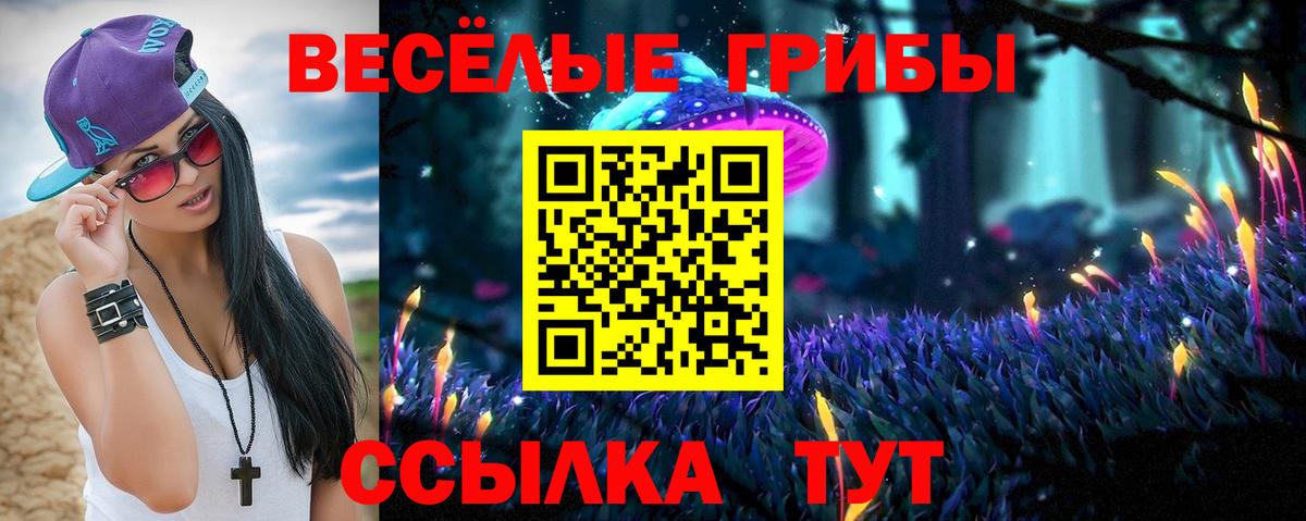 Каспийск  Галлюциногенные грибы мухоморы  Псилоцибиновые грибы мухоморы  Вход с VPN 